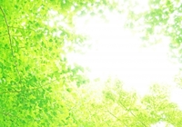 5e080a243695074c6f92e47dc47bceac_t
