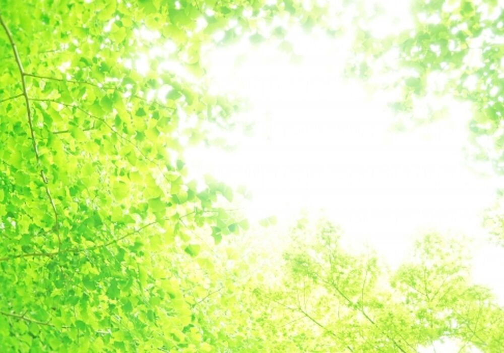 5e080a243695074c6f92e47dc47bceac_t